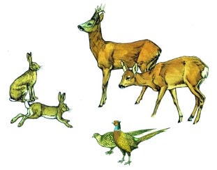 puzzle22