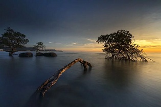Insel