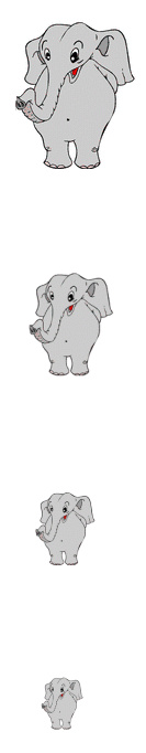 elefant